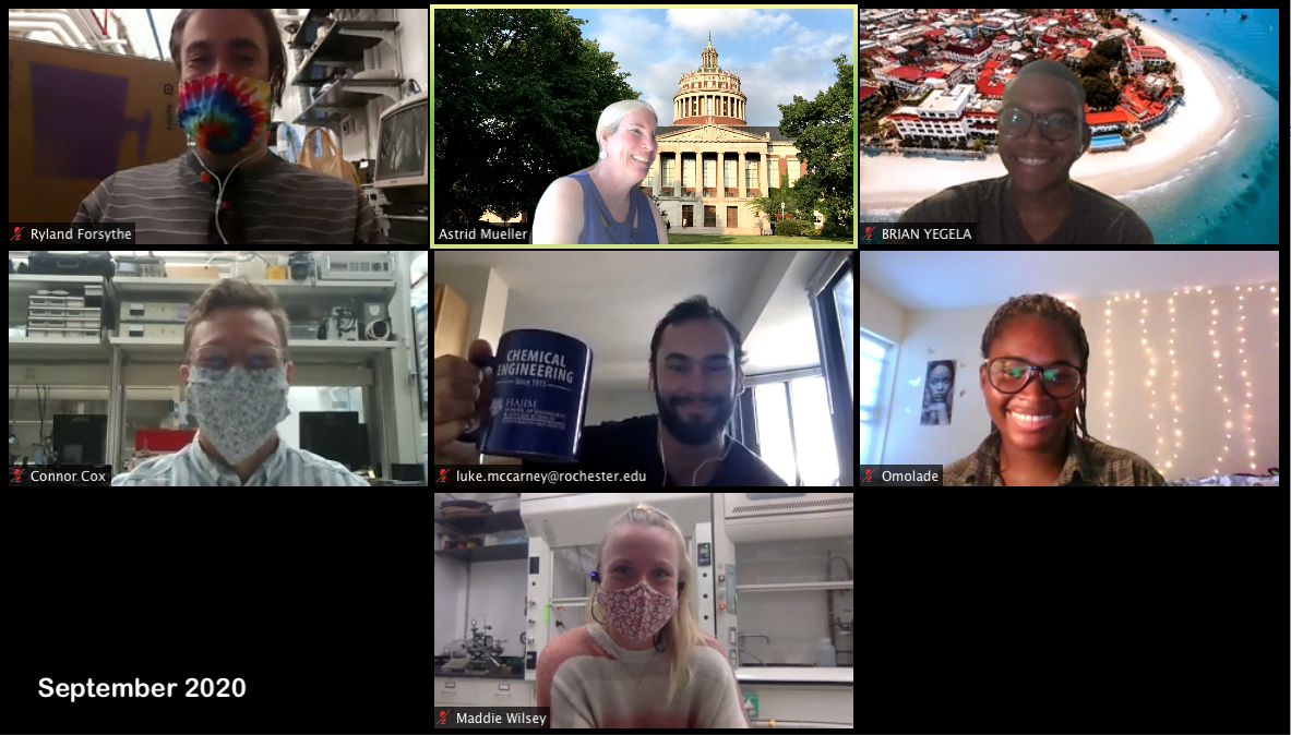 Photograph of the people in the Müller group in September 2020